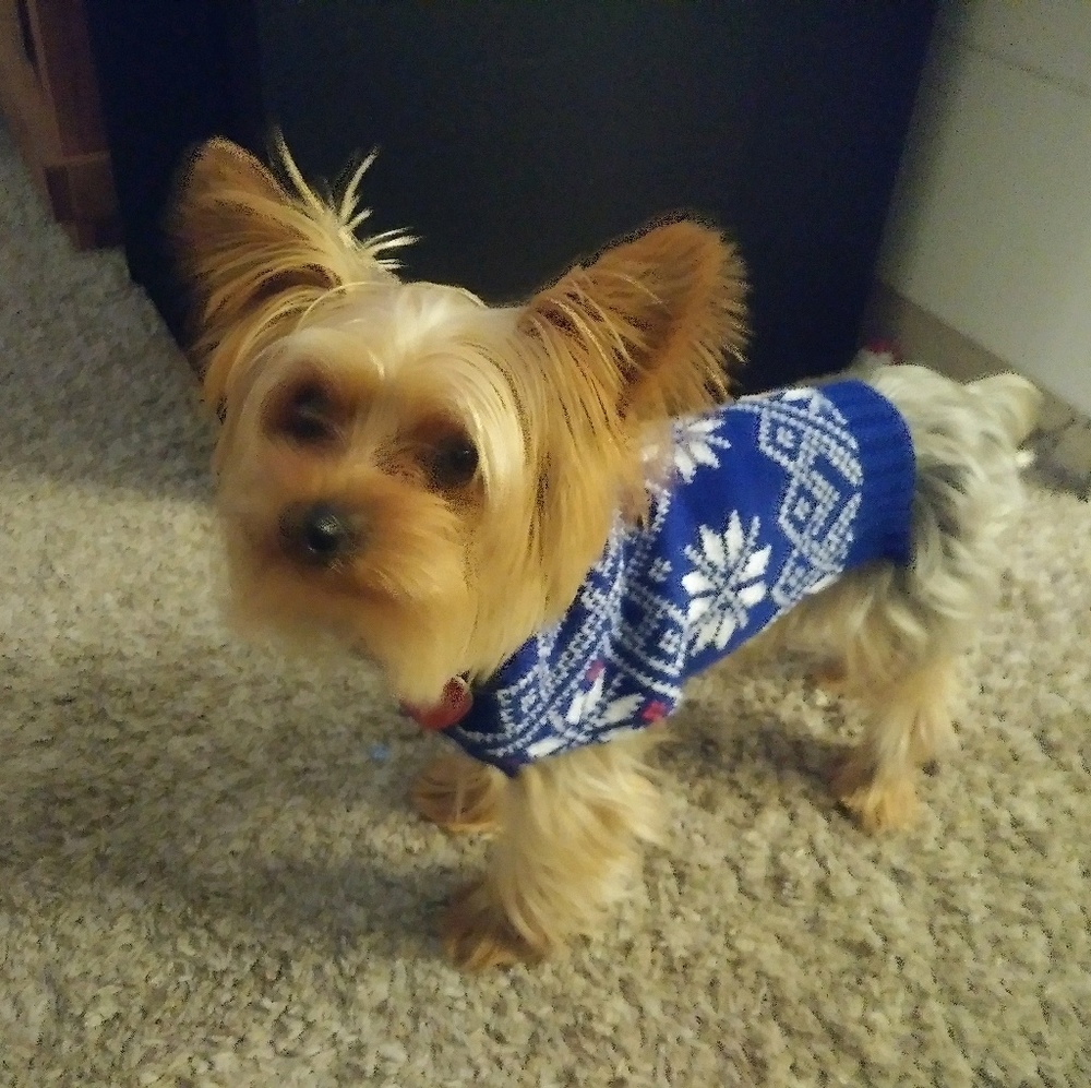 Meet your Posher, Amor